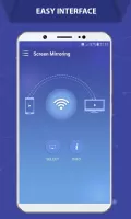 Screen Mirroring - Castto