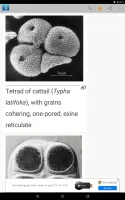 Science Dictionary by Farlex