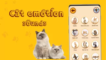 Translate for Animal: Cat, Dog